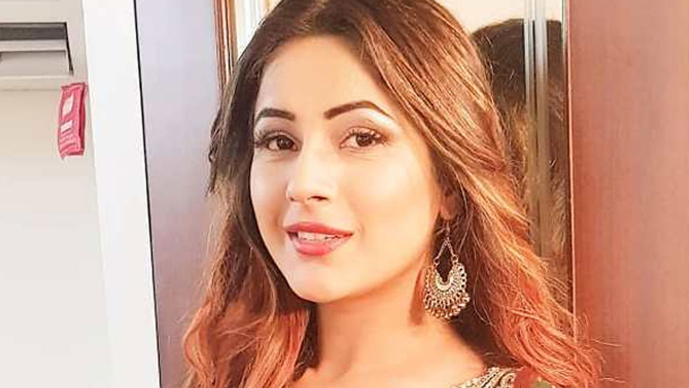 কিন্তু বিগ বসে পা দেওয়ার পর তাঁর জীবনটাই পুরো বদলে গিয়েছে। পঞ্জাব ছাড়িয়ে সেই মুহূর্ত থেকেই যেন তিনি সারা দেশে জনপ্রিয় হয়ে উঠেছেন।