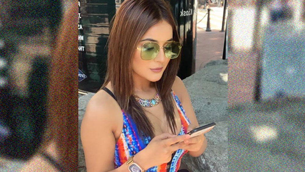 গ্ল্যামার আর মিষ্টি মিষ্টি শাহনাজের কথায় বিগ বসে তাঁর ফ্যান ফলোয়ার এই মূহূর্তে সবচেয়ে বেশি।