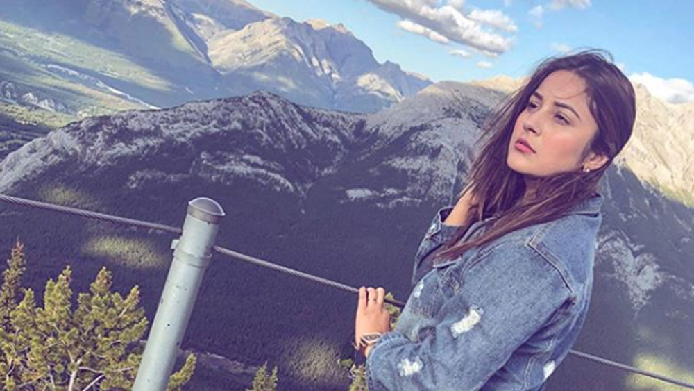 বিগ বসের প্রেম সাধারণত বেশি দিন টেকে না। বিগ বস হাউস থেকে বাইরে বেরনো মানেই দেখা গিয়েছে, বেশির ভাগ ক্ষেত্রেই ব্রেক আপ হয়ে গিয়েছে। শাহনাজের সঙ্গে এই মুহূর্তে বেশ ঘনিষ্ঠতা দেখা গিয়েছে আর এক প্রতিযোগী সিদ্ধার্থ শুক্লর।