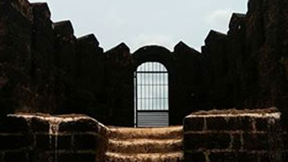 ফলে গেরুসোপ্পা কেলাড়ি রাজত্বের অংশ হয়ে ওঠে। রানিকে বন্দি করে রাখা হয়। বন্দি অবস্থাতেই তিনি শেষ নিঃশ্বাস ত্যাগ করেন।