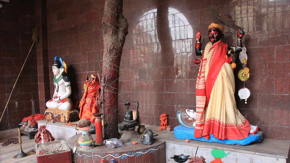 ট্যাংরা এলাকাতেও একই ছবি ধরা পড়বে। চিনেপাড়ার পানশালা, কারখানা, রেস্তরাঁগুলি সেজে ওঠে ফানুসের আকারের আলোদানিতে।এখানকার চিনা কালীবাড়িতে চলে নানান উপাচার। দেবীর ভোগ হিসেবে চাউমিন দেওয়া হয়।