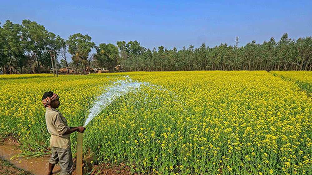 এমন সুযোগ কি কেউ হাতছাড়া করতে চাইবেন! না। যেমন চাননি হরিয়ানার সইদপুরে এক চাষি পরিবারের ছেলে। তাঁর নাম বিপিন রাও যাদব।