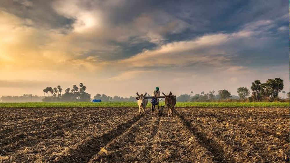 বিপিনের বাবা চাষবাস করেই জীবিকা নির্বাহ করেন। তিনি প্রথম থেকেই স্থির করে ফেলেছিলেন, তাঁর দুই ছেলেকে কখনও এই কষ্টের পেশায় আনবেন না। তাঁরা দু’জনেই ভাল চাকরি করবেন।
