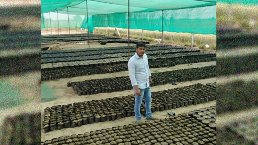 বিপিন এবং বিপিনের দাদা দু’জনেই বাবার স্বপ্ন দেখা পথেই এগিয়েছেন। তাঁর দাদাও বি টেক সম্পূর্ণ করে চাকরিতে ঢুকে গিয়েছেন।