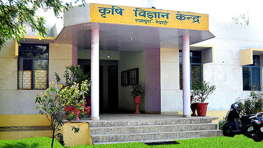 এক বন্ধুর পরামর্শে বিপিন বাড়ির কাছের কৃষি বিজ্ঞান কেন্দ্রে একটি প্রশিক্ষণে যোগ দেন। কী ভাবে লাভজনক উপায়ে কৃষিকাজ করা যায়, কী ভাবে প্রচুর জমি ছাড়াই চাষাবাদ করা যায়, এ রকম নানা বিষয়ে জ্ঞান লাভ করেন তিনি।