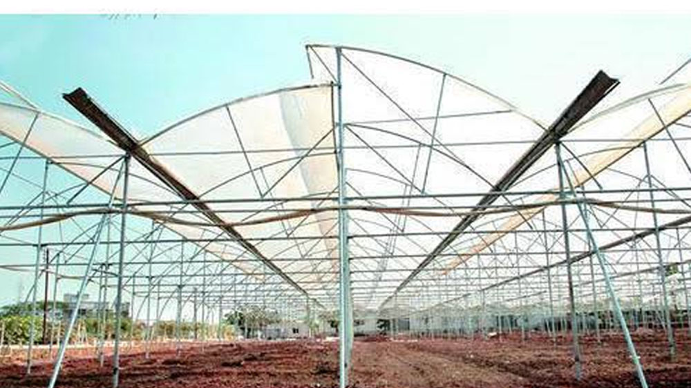 প্রথমেই খুব লাভ হতে শুরু করে তা নয়। হাতেকলমে কাজ করতে গেলে অনেক ভুলভ্রান্তি হয়, আর তা থেকেই শেখা যায়। বিপিনের ক্ষেত্রেও তা-ই হয়েছিল।