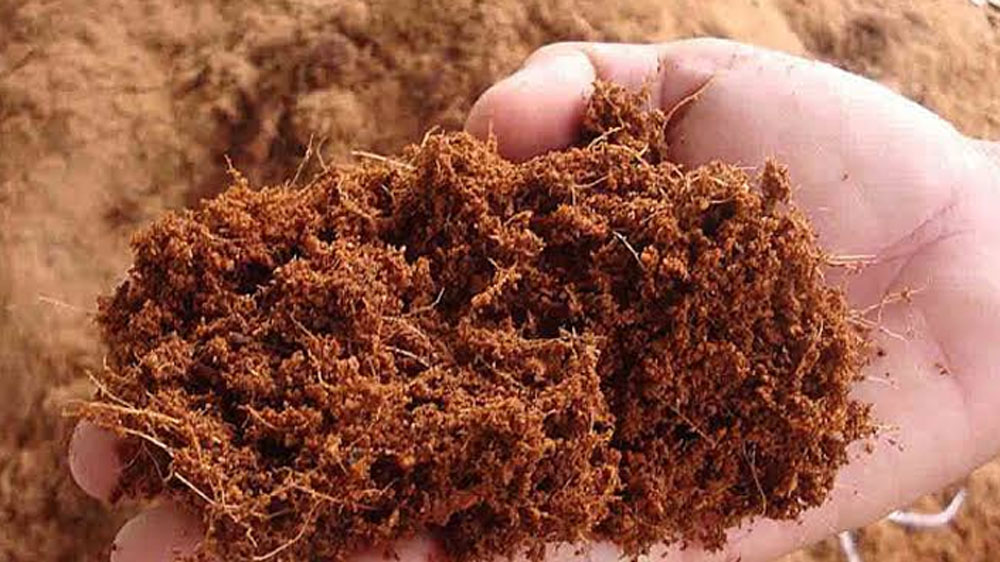 মাটি ছাড়া কোকোপিট এবং আরও নানারকম উপকরণ দিয়ে টবেই চাষ করতে শুরু করেন তিনি। ২০১৬ সালে চাষ করা শুরু করেছিলেন বিপিন। তার দু’বছরের মধ্যেই আশাতীত ফল পান।