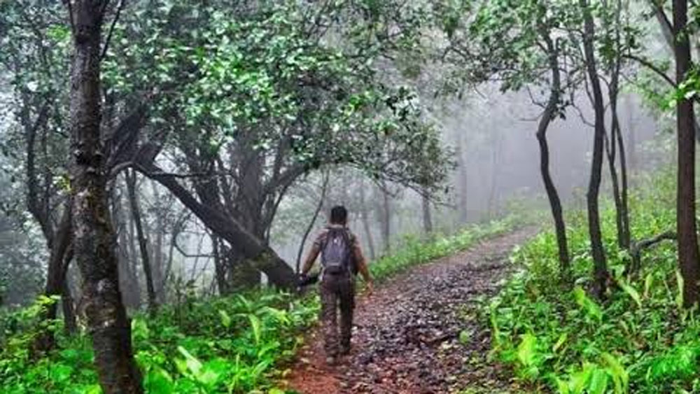 তবে একজন বনকর্মী কতটা সাহসী হতে পারেন? নিজের প্রাণের তোয়াক্কা না করে বন্যপ্রাণীদের জন্য কতটা নিজেকে উত্সর্গ করতে পারেন?