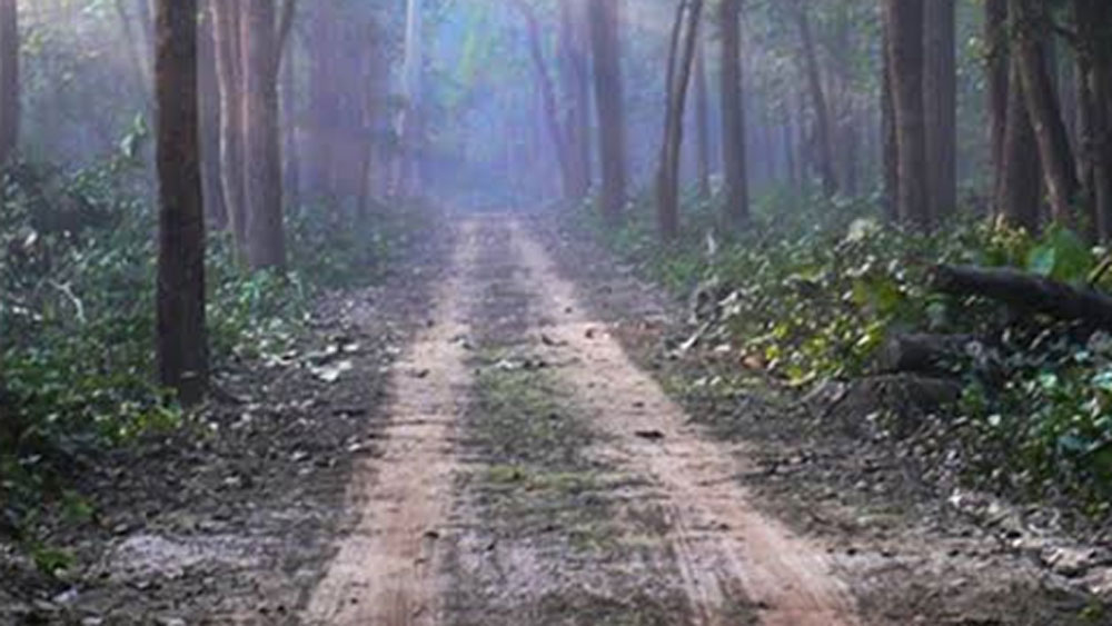 এর আদর্শ উদাহরণ উত্তরপ্রদেশের মহারাজগঞ্জ জেলার এই বনকর্মীরা। মহারাজগঞ্জ জেলা অরণ্যে চিতাবাঘের সংখ্যা খুব বেশি। বনকর্মীদের মাঝেমধ্যেই চিতাবাঘের সম্মুখীন হতে হয়।