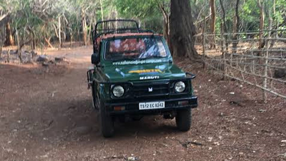 তাঁরা তখনই সাহায্য চেয়ে ফরেস্ট রেঞ্জার দয়াশঙ্কর তিওয়ারিকে খবর দেন। তিনি আবার জেলা ফরেস্ট অফিসার মণীশ সিংহকে বিষয়টি জানান।