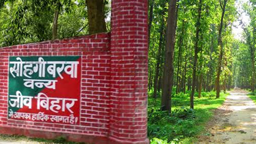 নিজেদের সুরক্ষার কথা না ভেবে একটি মোটরবাইকে চাপিয়ে ওই চিতাবাঘটিকে প্রথমে বন দফতরের অফিসে নিয়ে যান তাঁরা।