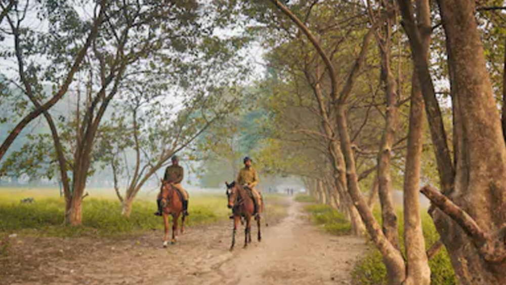 দ্রুত গাছ কেটে এগোতে থাকে শহর। ধর্মের নামে নিজেদের অস্তিত্ব টিকিয়ে রাখে বট, অশ্বত্থের মতো গাছ। সে টুকু না হলে হয়তো গড়ের মাঠ আরও বেশি বৃক্ষশূন্য হয়ে পড়ত। তবে, কলকাতা প্রসারিত হওয়ার পরে ব্রিটিশরা সৌন্দর্যায়নের জন্য নানা ধরনের গাছ লাগিয়েছিলেন।