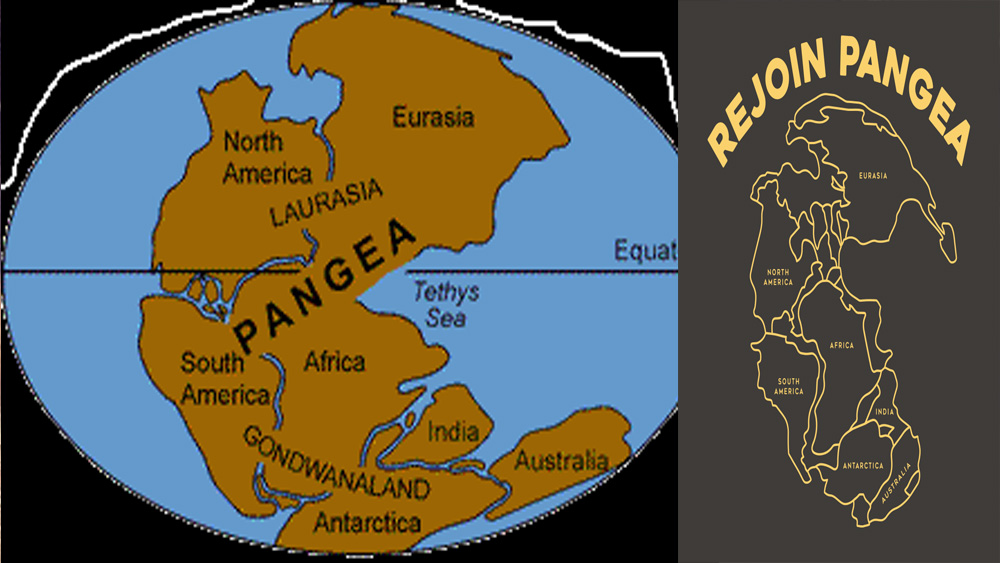 অর্থাৎ যে সময় পৃথিবীর কোনও মহাদেশ আলাদাই হয়নি। অবিভক্ত মহাদেশ হিসেবে ছিল ‘প্যানজিয়া’। ভূগর্ভস্থ পাত আন্দোলিত (প্লেটটেকটনিক্স মতবাদের) হওয়ার জেরে কয়েক টুকরো অংশে বিভক্ত হয়ে যায় প্যানজিয়া। দু’টুকরো হয়ে দু’দিকে চলে যায় আফ্রিকা ও দক্ষিণ আমেরিকা।
