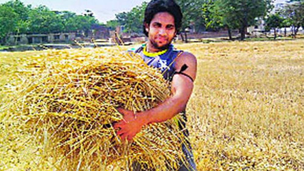 সম্প্রতি এক সাক্ষাৎকারে কামরান জানিয়েছেন, সেই তথ্য ঠিক নয়। তিনি কোনওদিন ক্রিকেট ছেড়ে নিয়মিতভাবে চাষের কাজে ফিরে যাননি। ক্রিকেট অনুশীলন তিনি বন্ধ করেননি। লকডাউনে ছিলেন মু্ম্বইয়ে। কিন্তু আবাসনের পার্কিং জোনে তাঁর ক্রিকেট অনুশীলন ঘিরে অভিযোগ জানা পড়শিরা।