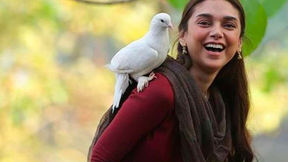 অদিতির প্রপিতামহ আকবর হায়দরি ছিলেন নিজাম এস্টেটের প্রধানমন্ত্রী। মায়ের দিক দিয়েও তিনি রাজপরিবারের উত্তরসূরি। তাঁর মা বিদ্যা রাও ধ্রুপদী সঙ্গীতের প্রখ্যাত শিল্পী।