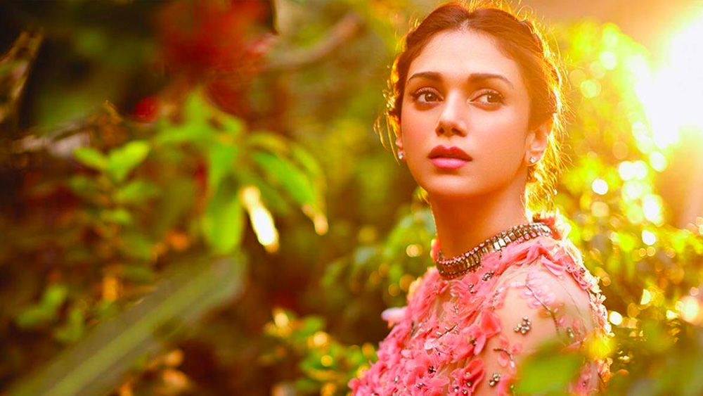 অভিনেত্রী জীবনের বেশ কয়েক বছর কেটে যাওয়ার পরেও অদিতির যাত্রাপথ ছিল বন্ধুর। ২০১৩ সালে মুক্তি পায় অক্ষয়কুমারের বিপরীতে ‘বস’। কিন্তু এই ছবিতেও অদিতির থেকে বেশি গুরুত্ব পায় সোনাক্ষীর আইটেম ডান্স।