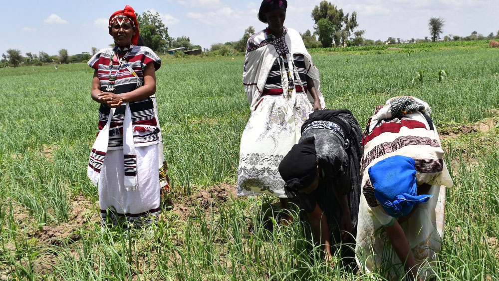 ক্ষুধা সূচকের মাপকাঠিতে ১০ থেকে ২০-র মধ্যে ২৬টি দেশ এবং ২০ থেকে ৫০-এর মধ্যে রয়েছে ৩৫টি দেশ।