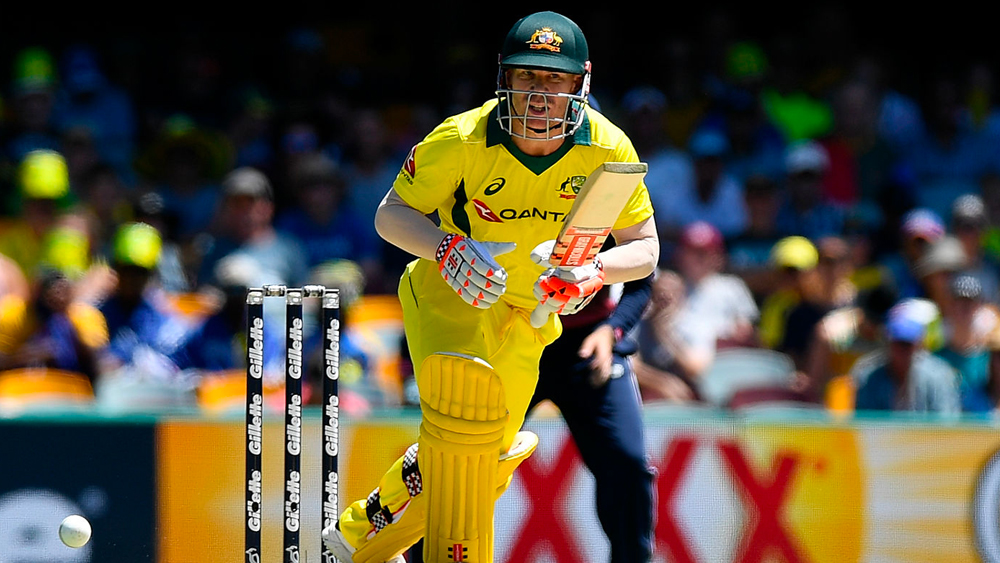 এক দিনের ক্রিকেটেও ওয়ার্নার বহু বিধ্বংসী ইনিংস খেলেছেন। ১২৬টি ম্যাচে ৫৩০৩ রান করেছেন তিনি। ব্যাটিং গড় ৪৪.৯৪।