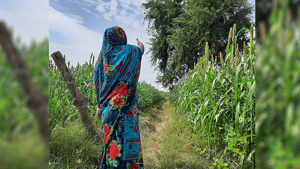 প্রত্যক্ষদর্শীদের দাবি, বেশ কিছু সময় পেরিয়ে যাওয়ার পর মেয়ের সাড়াশব্দ না পেয়ে তরুণীর মা তাঁকে খোঁজাখুঁজি শুরু করেন। খেতের ভিতর থেকে গোঙানির শব্দ পেয়ে সেখানে ঢুকতেই গুরুতর জখম অবস্থায় মেয়েকে দেখতে পান।