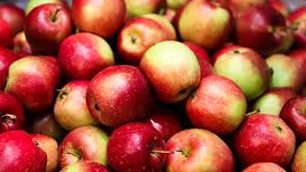 প্রতীকী ছবি।