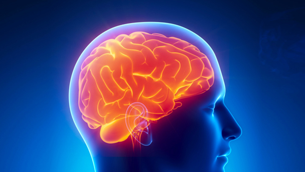 জেইই অ্যাডভান্সড পরীক্ষার তিন সপ্তাহ আগে ধরা পড়ল পার্থ আক্রান্ত মস্তিষ্কের দুরারোগ্য অসুখ মেনিংগোএনসেফ্যালাইটিস-এ।