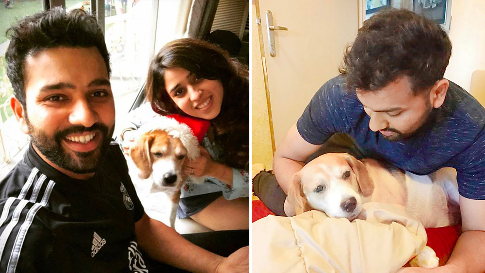 ভারতীয় দলের সহঅধিনায়ক রোহিত পশুপ্রেমী। তিনি পেটা-র সদস্য। যুক্ত ডব্লুডব্লুএফ ইন্ডিয়ার সঙ্গেও। পাশাপাশি, রোহিত সক্রিয় সমাজসেবামূলক কাজেও।