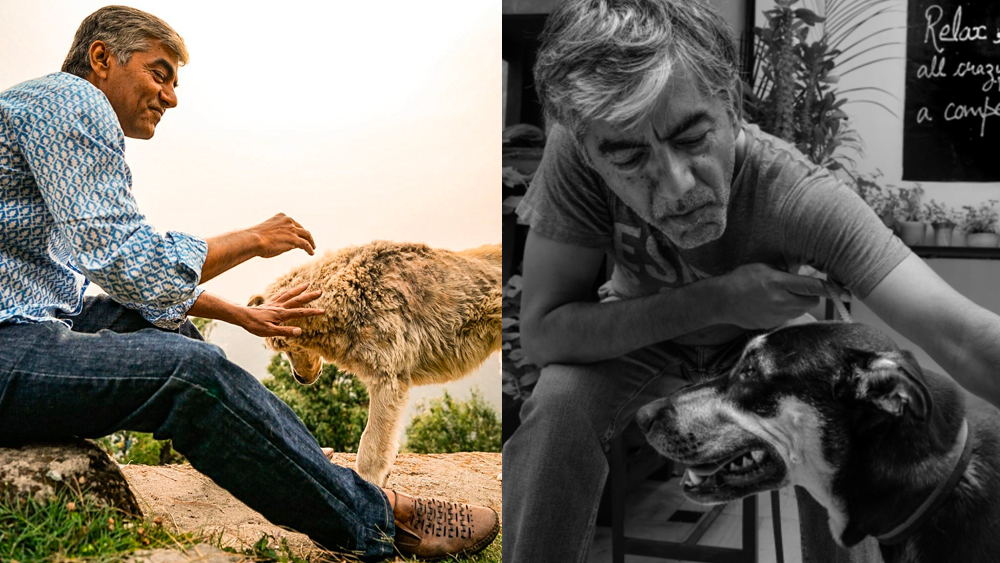 ১২ নভেম্বর, বৃহস্পতিবারও তাঁকে প্রতিবেশীরা দেখেছেন পোষা কুকুরকে নিয়ে হাঁটতে। এ দিনই কিছু সময় পরে জানা যায় অভিনেতার ঝুলন্ত দেহ উদ্ধার হয়েছে তাঁর ঘরে।