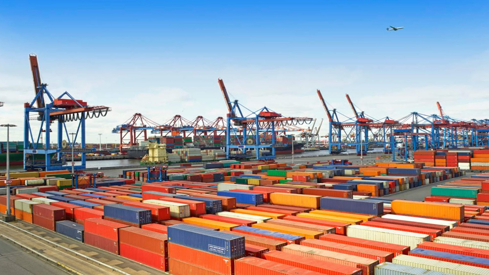 India's Exports and Imports Both Fell In October Alarmingly dgtl