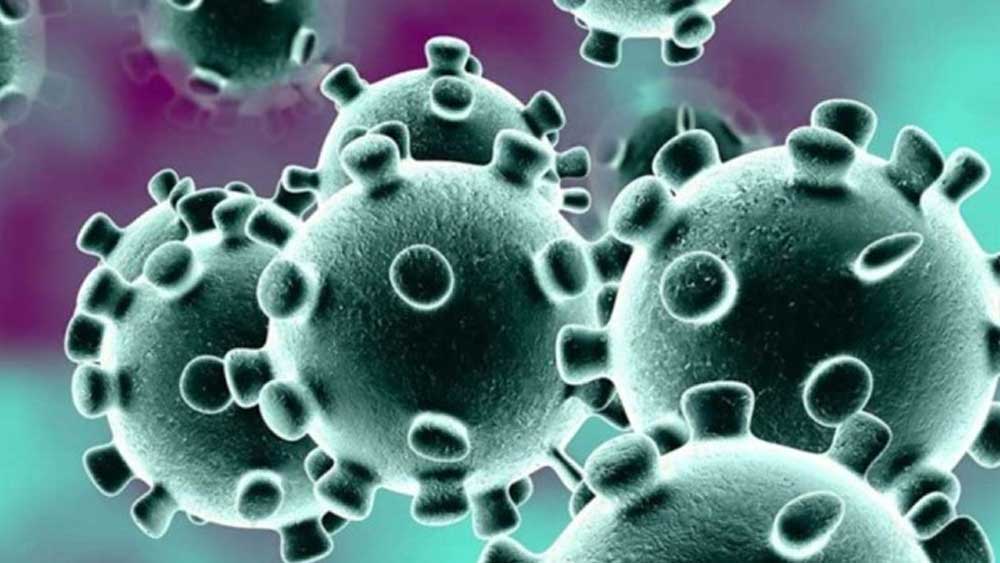 China says, coronavirus is active in the packet of imported fish