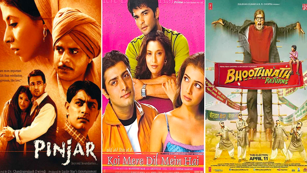 ‘পিঞ্জর’, ‘ওহ’, ‘জুলি’, ‘মদহোশি’, ‘ফিল্মস্টার’, ‘কোই মেরে দিল মেঁ হ্যায়’, ‘হেট স্টোরি থ্রি’, ‘ভূতনাথ’-সহ বেশ কিছু ছবিতে তিনি অভিনয় করেন। কিন্ত কোনও বারই ফিরে পাননি প্রথম ছবির সাফল্য।