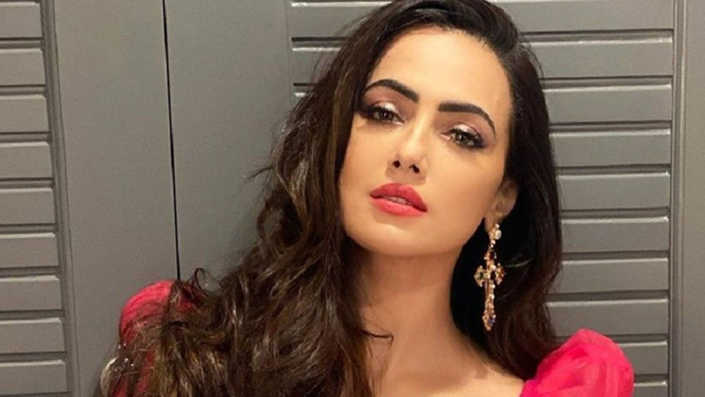 এর পর সলমন খানের ‘জয় হো’ ছবিতে তাঁকে ছোট একটি চরিত্রে দেখা যায় ২০১৩ সালে। এক বছর পর ‘ওয়াজা তুম হো’ ছবিতে অভিনয় করেন তিনি। যদিও বক্স অফিসে সাফল্য পায়নি সেই ছবি।