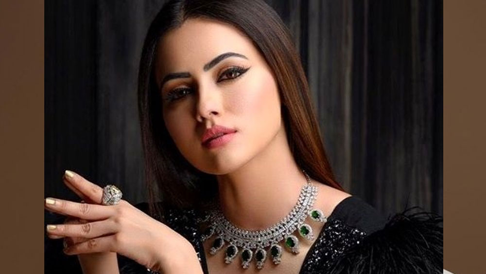 ইন্ডাস্ট্রি থেকে নিজেকে বিচ্ছিন্ন করার মুহূর্তকে ‘জীবনের সব চেয়ে খুশির মুহূর্ত’ বলে উল্লেখ করেন সানা।