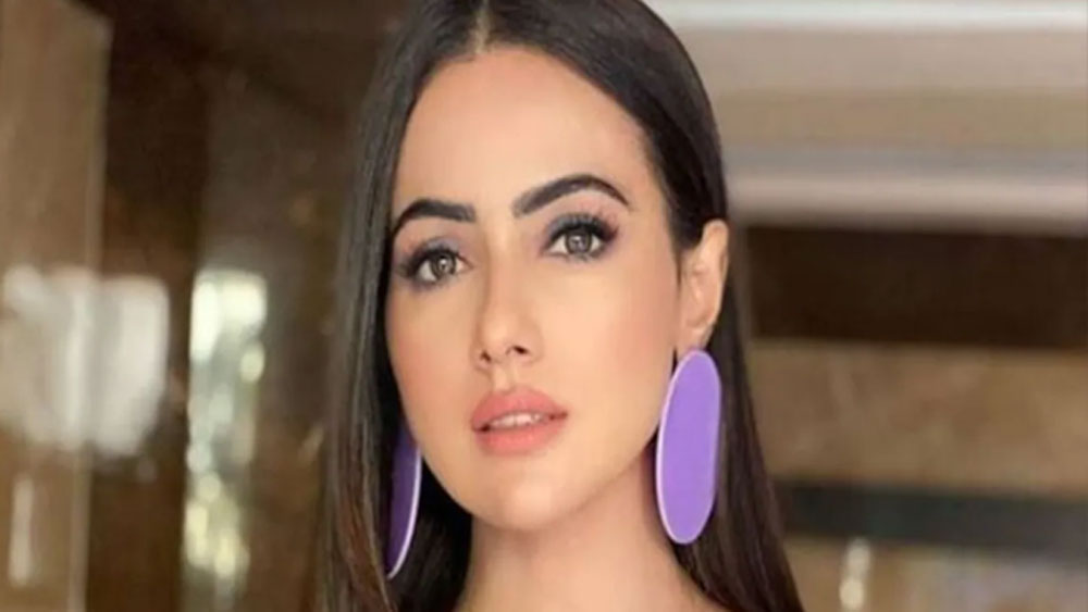 তাই সানার বলিউড ছাড়ার এ হেন সিদ্ধান্তের পিছনে পরিবারের চাপ ছিল বলেও মনে করেন অনেকে।