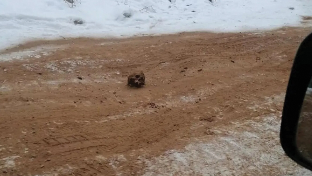 এই রকম মানব-অস্থি ছড়ানো পথের নাম হয়েছে ‘রোড অব বোনস’। অবশ্য এর একটি পোশাকি নামও রয়েছে— আর৫০৪ কোলাইমা হাইওয়ে।