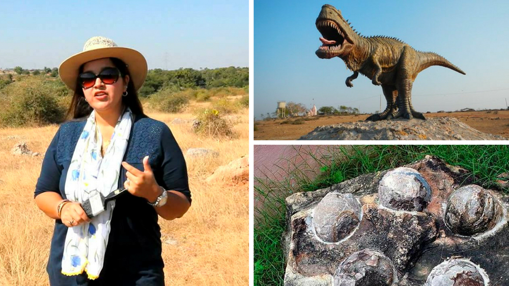 তখন থেকেই এই এলাকার রক্ষণাবেণের দায়িত্বে রয়েছেন আলিয়া। গ্রামের মানুষদের সচেতন করা থেকে শুরু করে পর্যটকদের গাইড করা সবই একা হাতে সামলান তিনি।