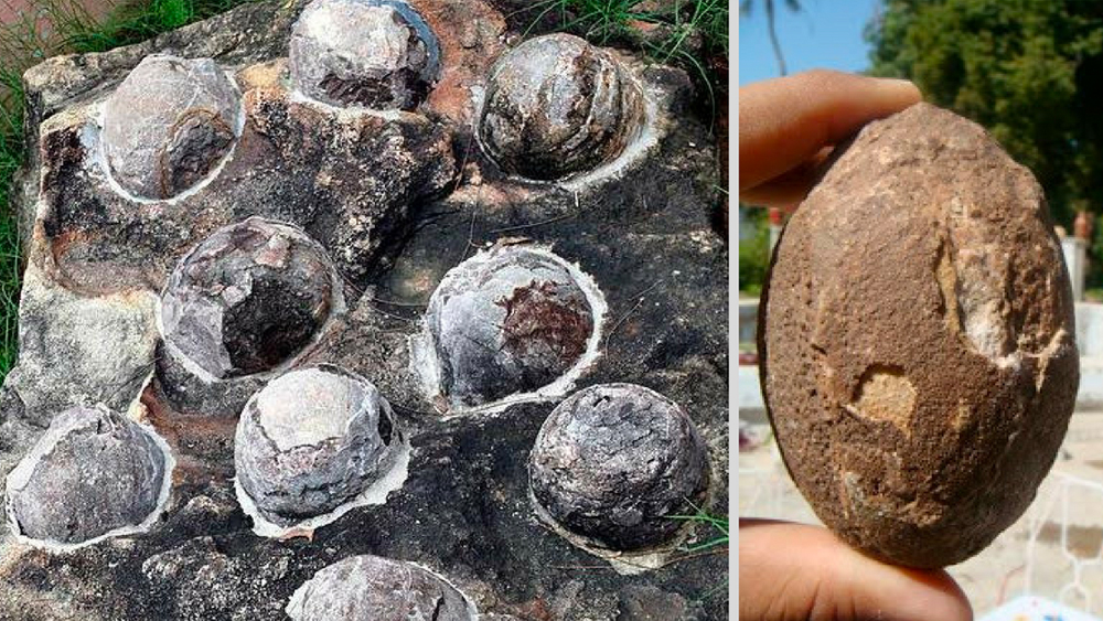 দলটি এসেছিল এই গ্রামে খনিজের সমীক্ষা চালাতে। কিন্তু খনিজের সন্ধান করতে গিয়ে তাঁরা অদ্ভুত আকারের ফলের মতো দেখতে কিছু বিস্ময়কর পাথর খুঁজে পেলেন।