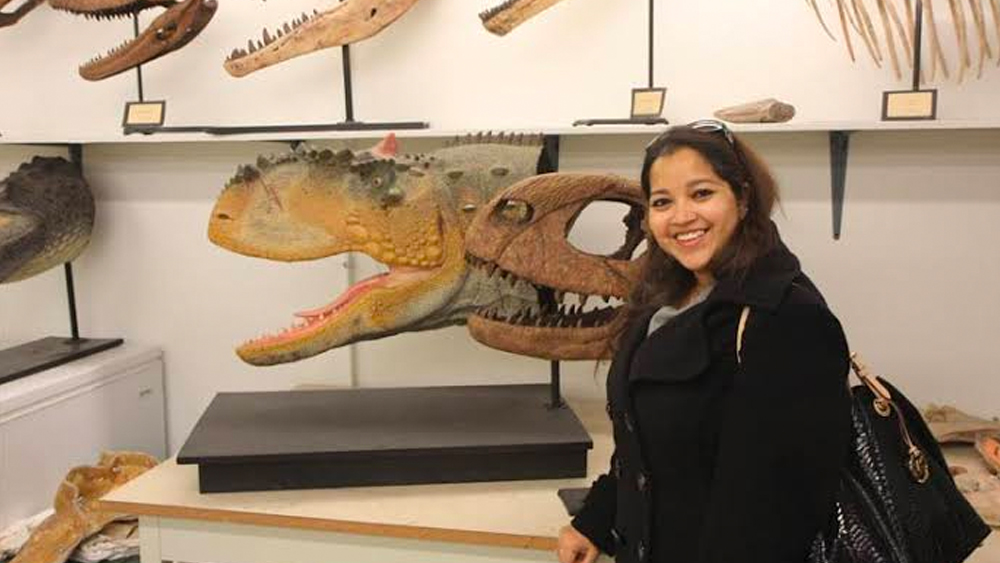 পরীক্ষা করার পর জানা গেল, সেগুলো আসলে ডাইনোসরের ডিম এবং হাড়ের ভগ্নাবশেষ!