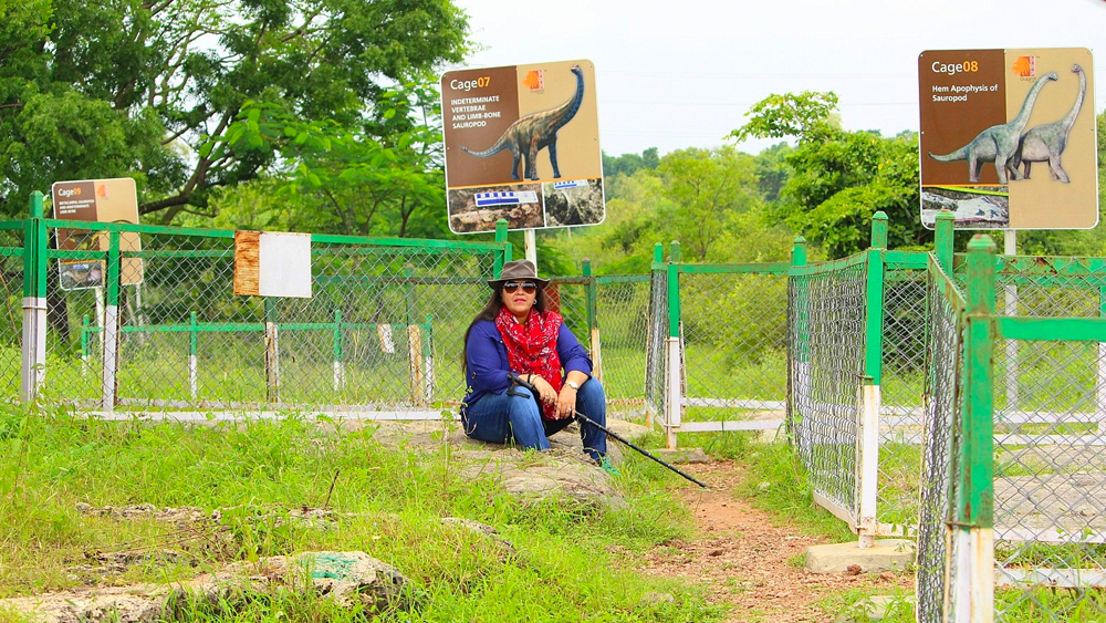 গুজরাতের গ্রামে ডাইনোসরের ডিম পাওয়া যাওয়ার পর থেকেই খনন কার্য শুরু হয় জোরকদমে। এক এক করে এ রকম হাজার খানেক ডিম উদ্ধার হয় ওই গ্রাম থেকে। ডিমগুলো পরীক্ষা করে দেখা যায়, অন্তত ৭ রকম প্রজাতির ডাইনোসর এই গ্রামে ঘুরে বেড়াত!
