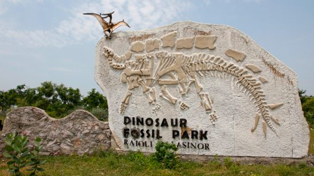 বিশ্বের তৃতীয় বৃহত্তম ডাইনোসর হ্যাচারি ঘোষিত হয় গুজরাতের গ্রাম রাইয়োলি। মূলত বংশবিস্তার করার সময়ই দলে দলে এই এলাকায় ঘাঁটি বাঁধত ডাইনোসরেরা।