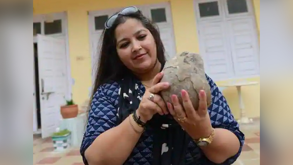 ডাইনোসর নিয়ে আলিয়ার মনে কৌতূহল তখন থেকেই। যত বার প্রত্নতত্ত্ববিদদের দল গবেষণার জন্য আসতেন তাঁদের পিছু পিছু আলিয়াও চলে যেতেন। কিন্তু পরে বোর্ডিং স্কুলে পাঠিয়ে দেওয়ার কারণে বেশ কিছু সময় আলিয়া গ্রামে ছিলেন না। এতে যদিও তাঁর কৌতূহলে বিন্দুমাত্র ভাটা পড়েনি।