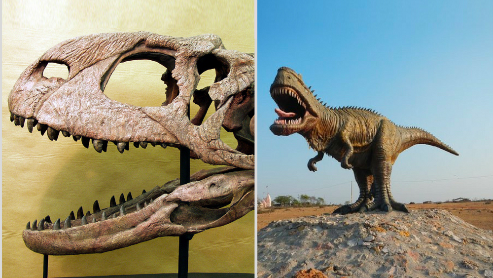 ১৯৯৭ সালে স্কুল পাশ করে বালাসিনোরে ফেরার পর প্রত্নতত্ত্ববিদদের দলের সঙ্গে ওই জায়গা ঘুরে দেখার অনুমতি পান তিনি। প্রথম বার ওই অঞ্চলে ছড়িয়ে ছিটিয়ে থাকা ইতিহাসের এত কাছে আসেন আলিয়া।