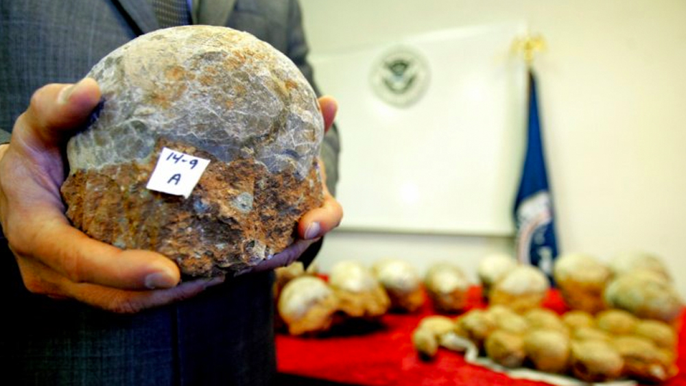 কিন্তু ওই এলাকার প্রত্নতাত্ত্বিক গুরুত্ব যখন সামনে এল আশেপাশের মানুষেরা সেখান থেকে পাথর চুরি করতে শুরু করলেন। গ্রামের মানুষদের এই বিষয়ে সচেতন করার দায়িত্ব চাপে তখন আলিয়ার কাঁধেই। ওই পার্কের রক্ষণাবেণের দায়িত্বও পান তিনি।