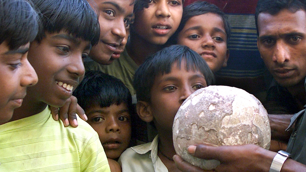 পরে জুওলজিক্যাল সার্ভে অব ইন্ডিয়া পার্কটিকে ভাল করে ঘিরে দেয়। তার ভিতর কিছুটা অঞ্চল পর্যটকদের প্রবেশের অনুমতিও দেওয়া হয়েছে। আলিয়াই হলেন সেখানকার একমাত্র ইংরাজি বলা ট্যুর গাইড।