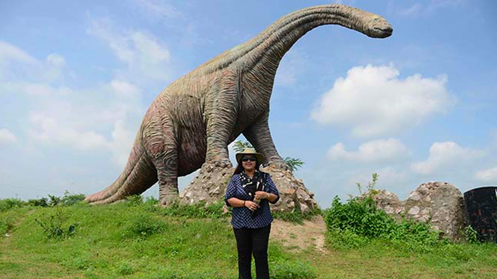 পর্যটকদের দেখানোর জন্য তাঁর সংগ্রহে একটি ডাইনোসরের ডিমও রয়েছে। এই ডিমটি গ্রামের এক বয়স্ক মহিলার কাছ থেকে তিনি উদ্ধার করেছিলেন।