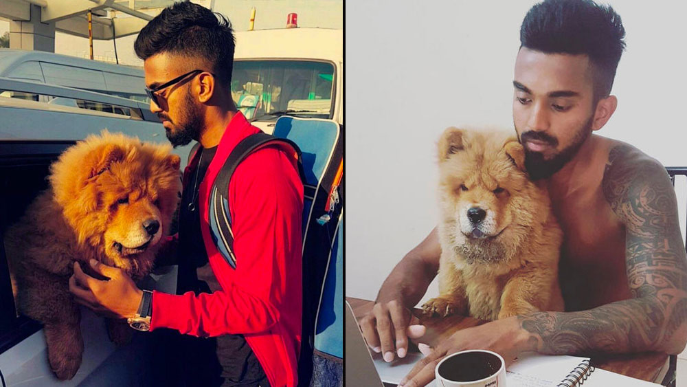 খোলামেলা ব্যালকনিতে বন্ধু সিম্বার সঙ্গে নিজেকে ফিট রাখাটা একটা অভ্যাসে পরিণত হয়েছে তাঁর।