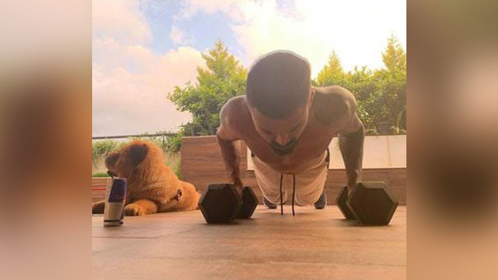 রাহুল অনেকটা সময় ব্যালকনিতে কাটান। উডেন ফ্লোর ব্যালকনিতে তাঁর জিমের যাবতীয় যন্ত্রপাতি রয়েছে। ব্যালকনির চারধারে প্রচুর গাছও রয়েছে।