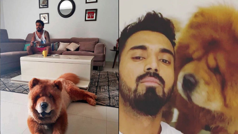 লিভিং রুমে বসে টিভি দেখুন বা ব্যালকনিতে দাঁড়িয়ে নিজেকে একটু ফিট করতে ব্যস্ত থাকুন, সব কাজেই সঙ্গ দেওয়ার জন্য বন্ধু সিম্বা প্রস্তুত।