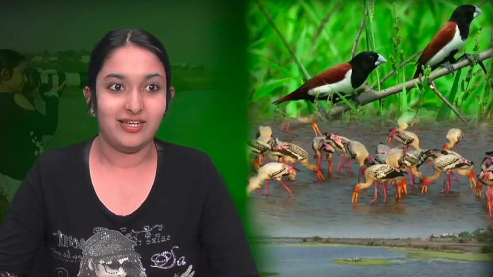 ২০১৮ সালে ঐশ্বর্যার তৈরি তথ্যচিত্র ‘পঞ্জে—দ্য লাস্ট ওয়েটল্যান্ড’ দেখানো হয়েছিল দূরদর্শনে। জলাভূমি সংরক্ষণের ক্ষেত্রে এই তথ্যচিত্র ছিল প্রতিবাদের অন্যতম হাতিয়ার।