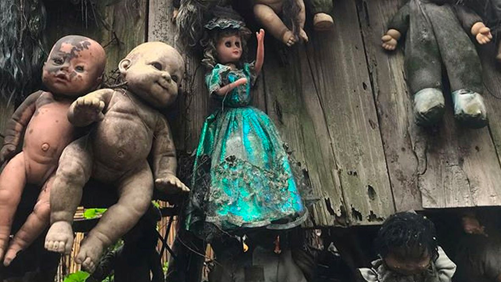 জানা যায়, এই দ্বীপে বসবাস করতে শুরু করার কয়েক দিনের মধ্যেই তিনি নাকি দ্বীপে ঝোপ-জঙ্গলে ঢাকা একটি নালা থেকে এক বাচ্চা মেয়ের মৃতদেহ উদ্ধার করেন।