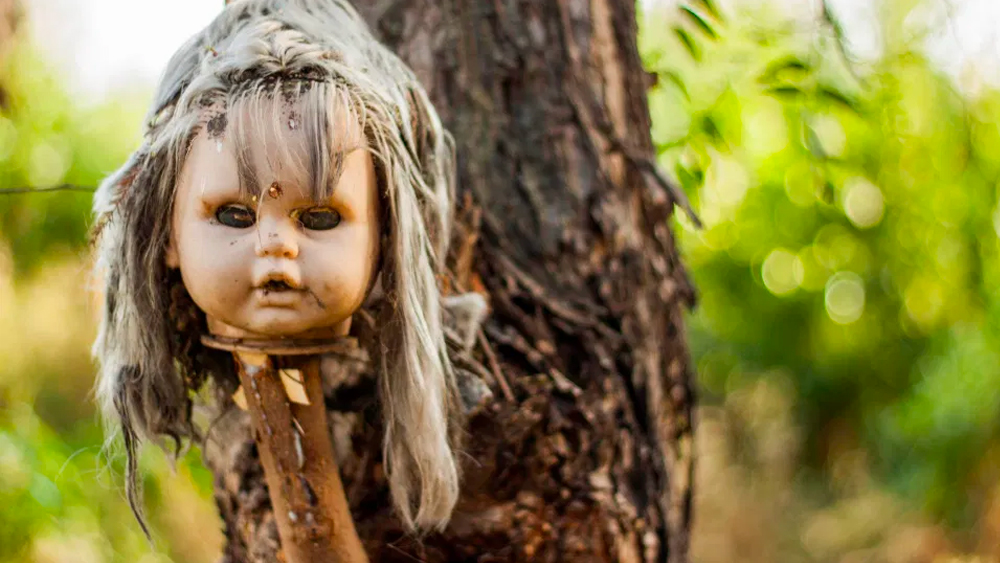 জুলিয়ানের দাবি, পাশের একটি হ্রদে মেয়েটি ডুবে গিয়েছিল। তারপর তার শরীর ভেসে আসে এই নালায়। এর কিছু দিন পর নালার ঠিক ওই একই জায়গায় একটি পুতুলও ভেসে আসে।